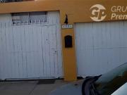 Coquimbo, las siemprevivas