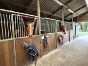 CORCY 02 PROPRIÉTÉ D’EXCEPTION – MAISON & CENTRE...