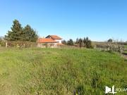 Cordelle Vente Terrain 42