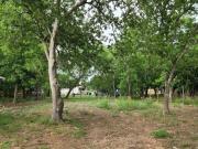 Corliss Lot,san Antonio, Plot For Sale