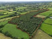 Cormaddyduff, Ballyjamesduff, Co. Cavan