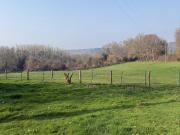 Cormeilles Vente Terrain 27