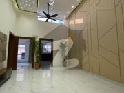 Corner 7 Marla Designer House Bahria Town Phase 8 Usman...