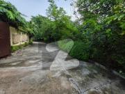 Corner House For Sale In F 6
