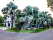 Corner House Of 1 Kanal For sale In DHA Phase 5 Block J