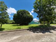 Corner lot for sale in Hampton Place Greenwood South...