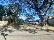 Corner Lot For Sale Las Piñas