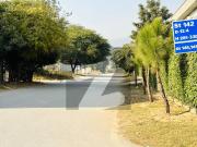 Corner plot 25x40 for sale best location