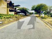 Corner plot 30x60 for sale top location