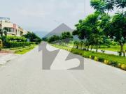 Corner plot 40x80 for sale service road east