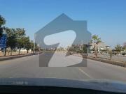 Corner Plot & Extra Land For Sale