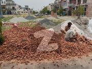 Corner+Park Facing 8.25 Marla Gray Structure House For...