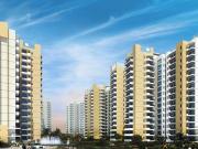 Sector 37C 4 BHK Apartment For Sale Gurgaon