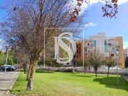 Coronel 23, Vila Franca de Xira, Quintanilho Coronel 23, Vila Franca de Xira, Quintanilho