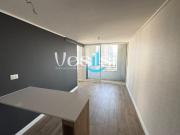 CORONEL GODOY 0157, ESTACION CENTRAL VE0152