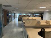 Corporativo Polanco Oficina en renta en Polanco