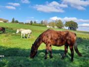 Corps de ferme avec jardin
