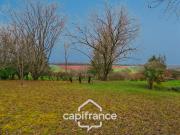 Corps de ferme exceptionnel – Dépendances + potentiel...