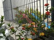 CORRETORA NASCIMENTO Clínica para locação, Centro,...