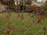 ESCUCHO OFERTAS Corrientes y 3 de Febrero