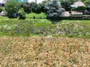 Corsier, Villa im Grünen