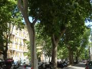 Corso Torino 6 vani 90mq