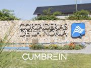 Cortaderas de La Noria Relanzamiento 2da Etapa