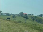 Cortijo de alto standing de 1000000 m2 en venta Tuxpan,...