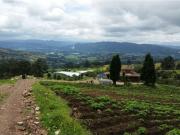 Cortijo de alto standing de 128000 m2 en venta...