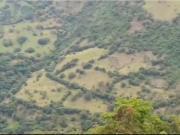 Cortijo de alto standing de 2950400 m2 en venta...