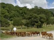 Cortijo de alto standing de 3000000 m2 en venta Beltrán,...