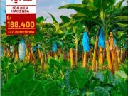 Cortijo de alto standing de 3227500 m2 en alquiler...