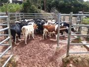 Cortijo de alto standing de 371200 m2 en venta Santa...