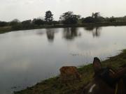 Cortijo de alto standing de 380000 m2 en venta Cartagena... Cortijo de alto standing de 380000 m2 en venta Cartagena...