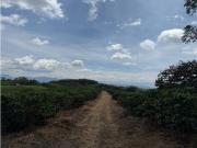 Cortijo de alto standing de 499200 m2 en venta Alcalá,...