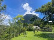 Cortijo de alto standing de 60000 m2 en venta Venecia,...