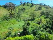 Cortijo de alto standing de 864000 m2 en venta...