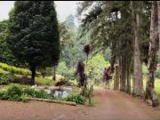 Cortijo de alto standing en alquiler San Francisco,...