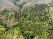 Cortijo de alto standing en venta Aguadas, Colombia