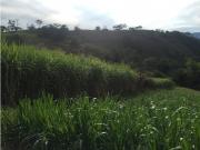 Cortijo de alto standing en venta Cachipay, Cundinamarca