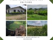 Cortijo de alto standing en venta Caicedonia,...