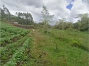 Cortijo de alto standing en venta Carmen de Viboral,...