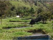 Cortijo de alto standing en venta Girardota,...