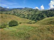 Cortijo de alto standing en venta Hispania, Departamento...