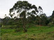Cortijo de alto standing en venta La Ceja, Departamento...