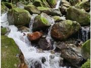 Cortijo de alto standing en venta San Francisco, Colombia