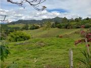 Cortijo de alto standing en venta San Vicente,...