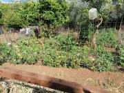 Cortijo en la sierra de Cádiz