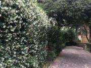 CORTINA D'AMPEZZO TRILOCALE ARREDATO CON GIARDINO...