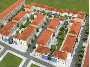 Coruche Coruche 98607652